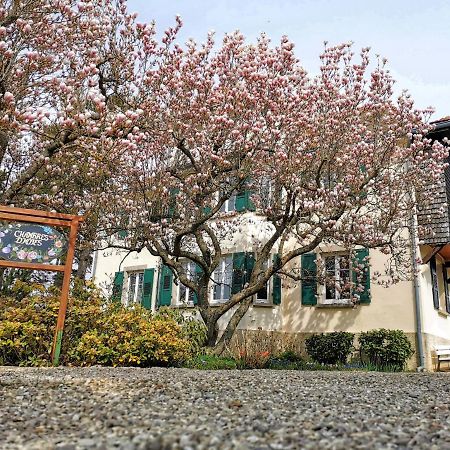 La Tirelire Bed & Breakfast Cosswiller Eksteriør bilde