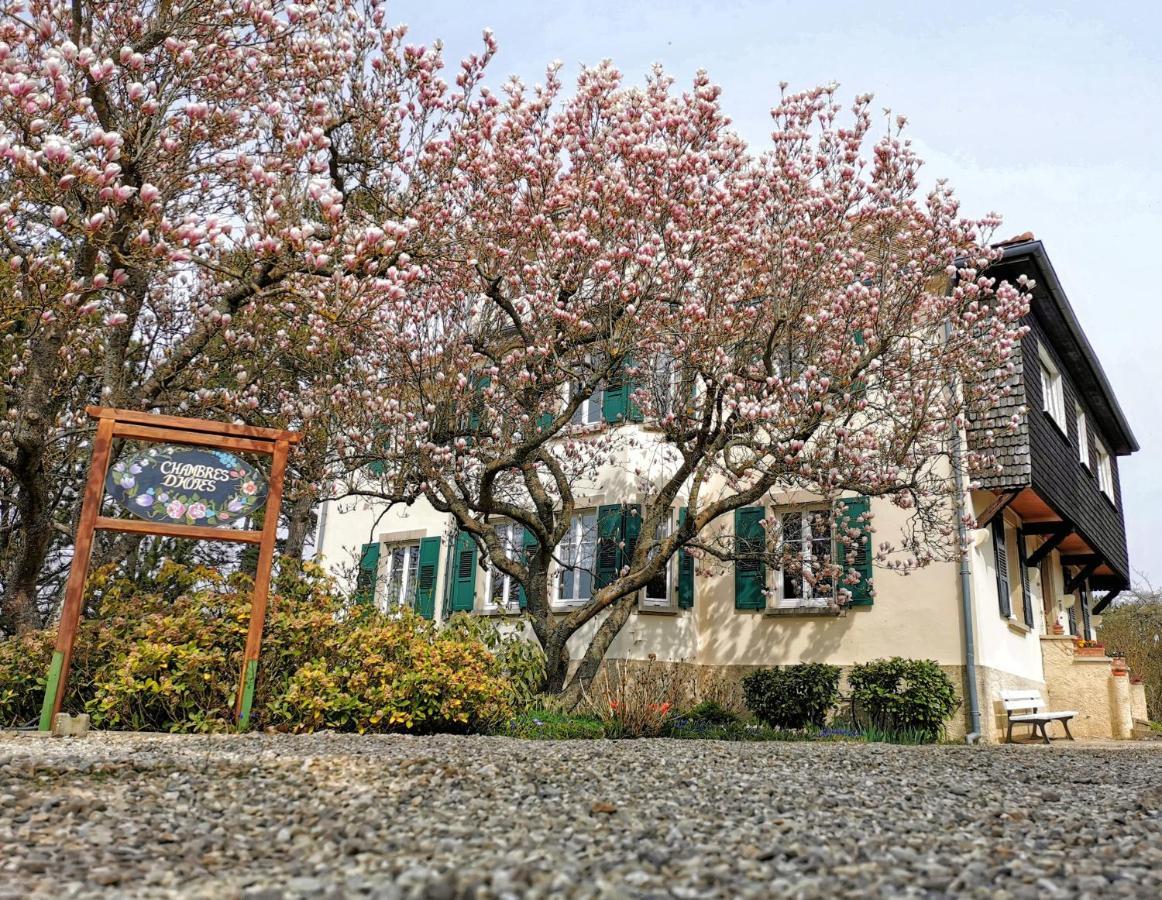 La Tirelire Bed & Breakfast Cosswiller Eksteriør bilde