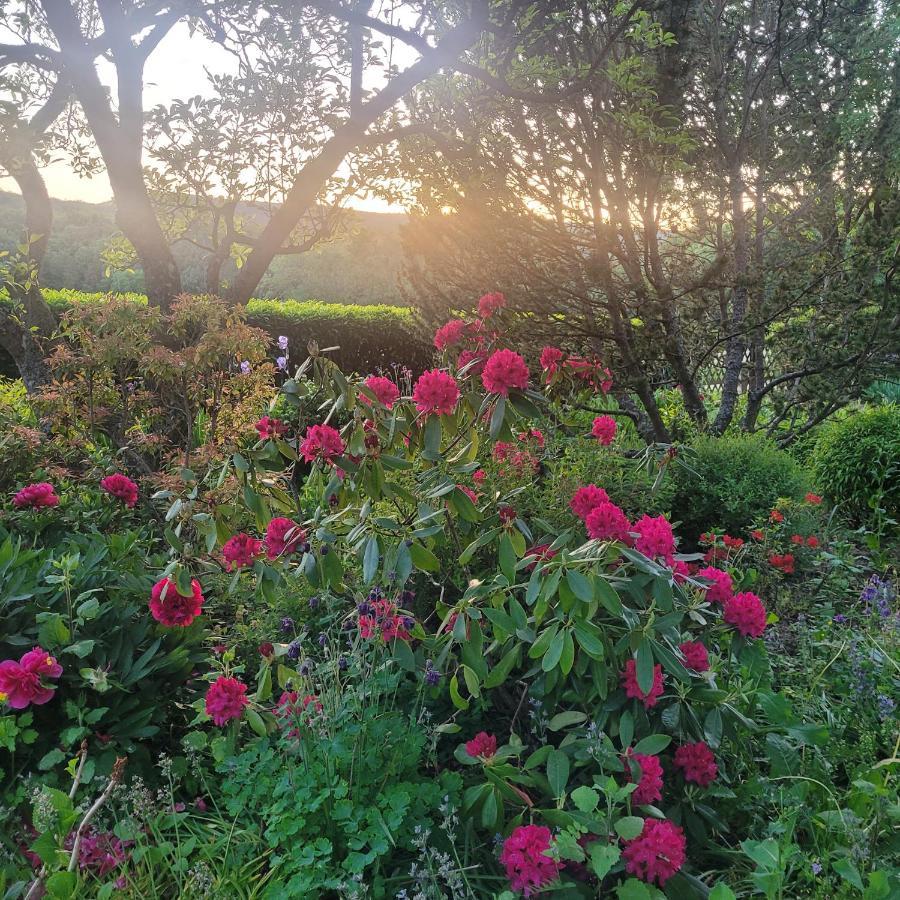 La Tirelire Bed & Breakfast Cosswiller Eksteriør bilde